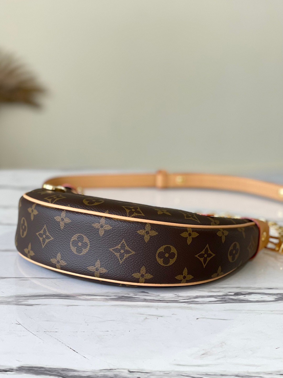 LV Loop Bag In Monogram Canvas M81098