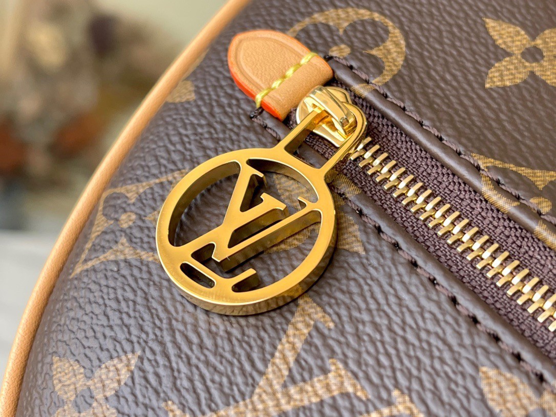 LV Loop Bag In Monogram Canvas M81098