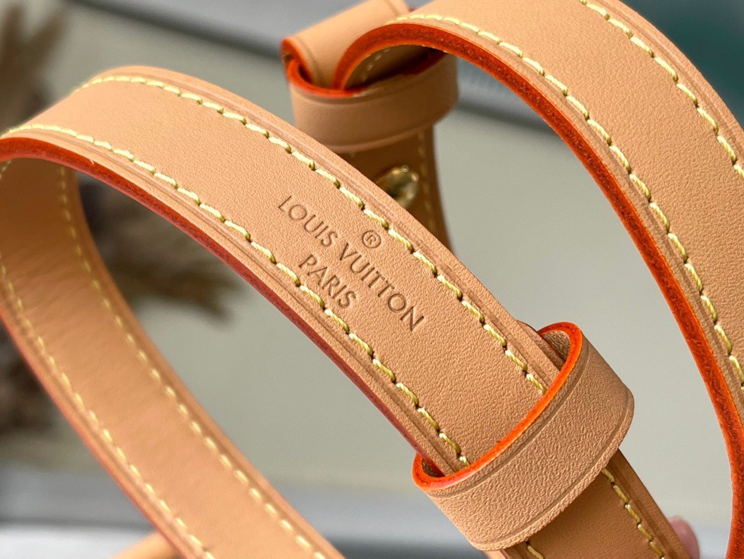 LV Loop Bag In Monogram Canvas M81098