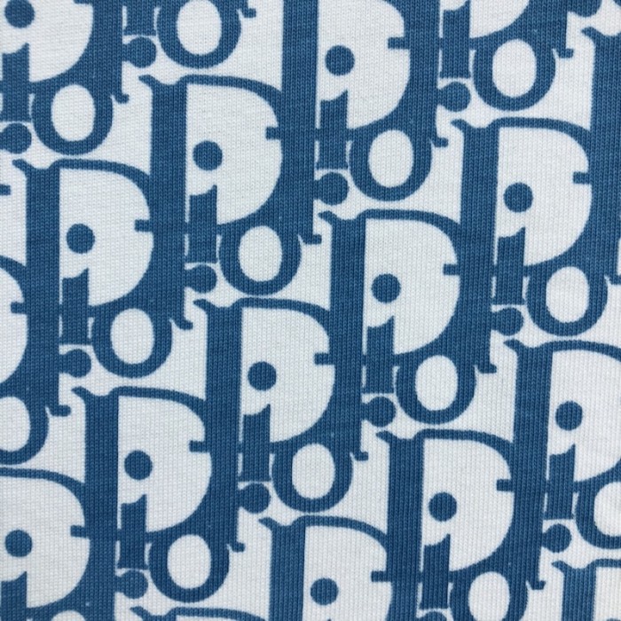 D*or oversize D*or oblique cotton t shirt blue