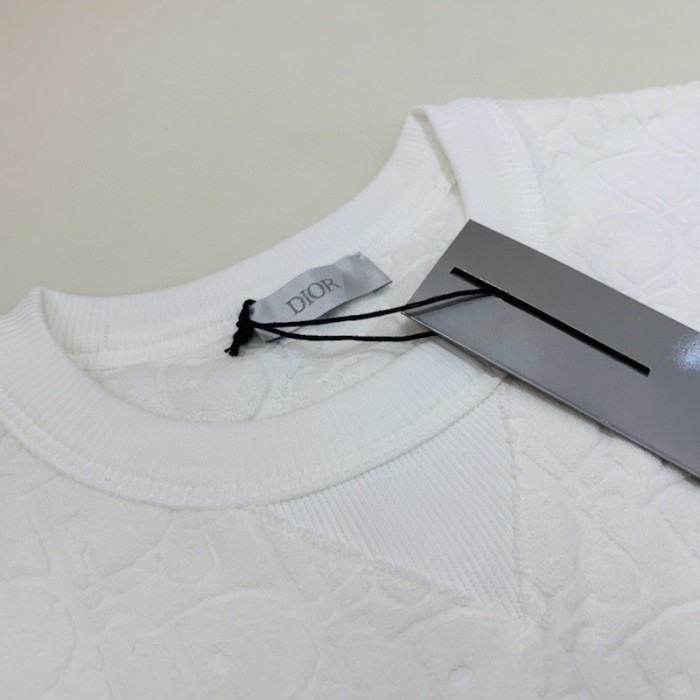 D*or oversize D*or oblique t shirt white