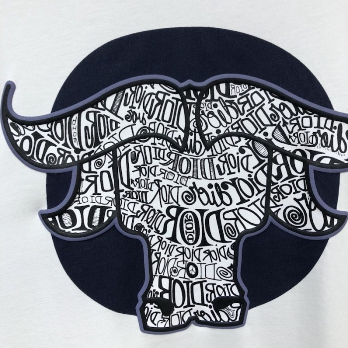 D*or oversized D*or and shawn t shirt white technical cotton