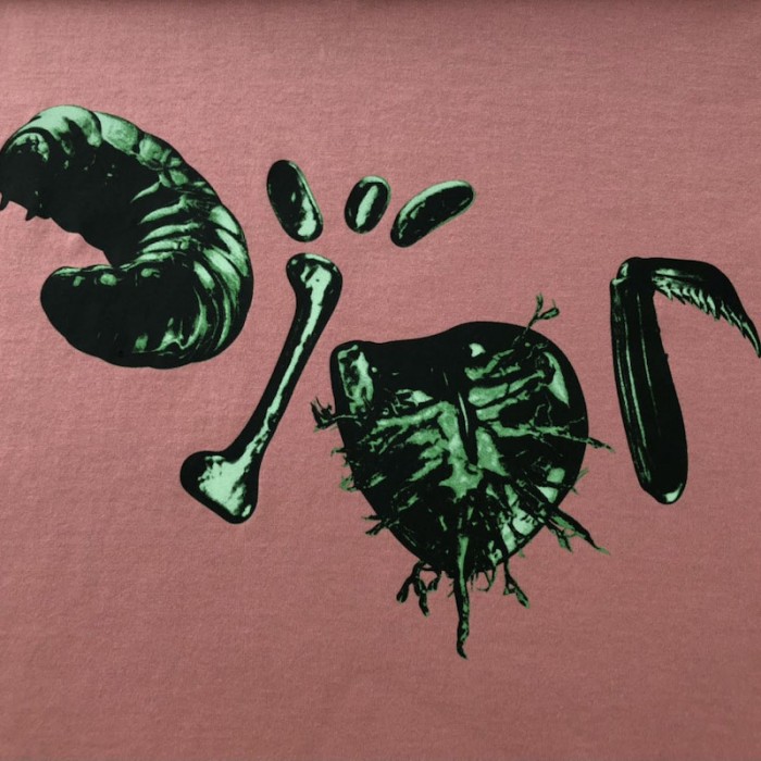 oversized cactus jack D*or t-shirt pink cotton jersey