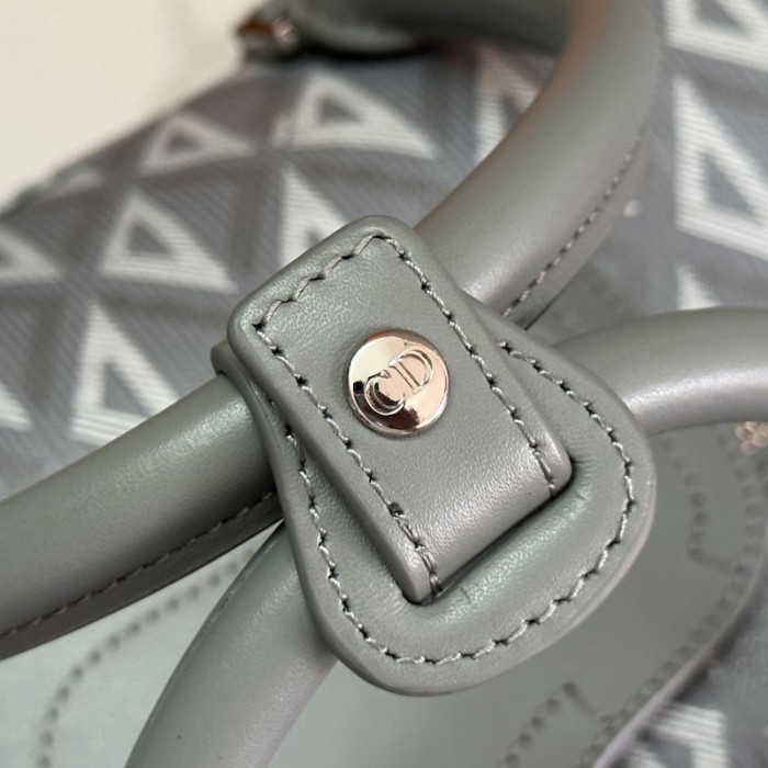 D*or lingot 50 bag D*or gray cd diamond canvas