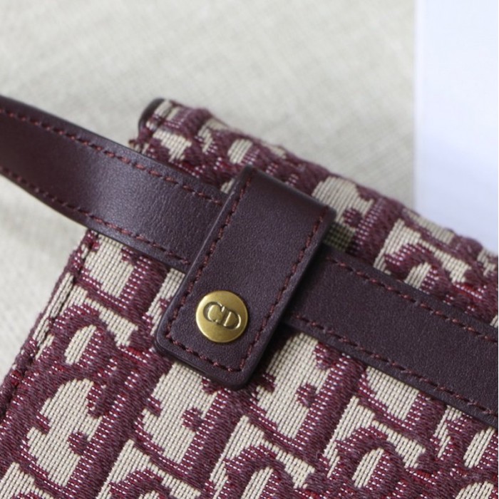 new D*or oblique saddle belt bag red