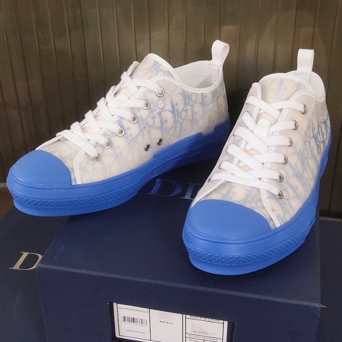 D*or b23 low logo oblique gradient blue