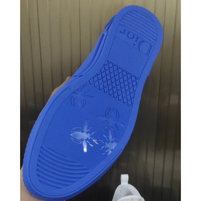 D*or b23 low logo oblique gradient blue