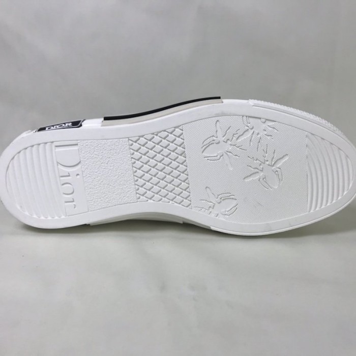 D*or b23 low logo oblique multicolor