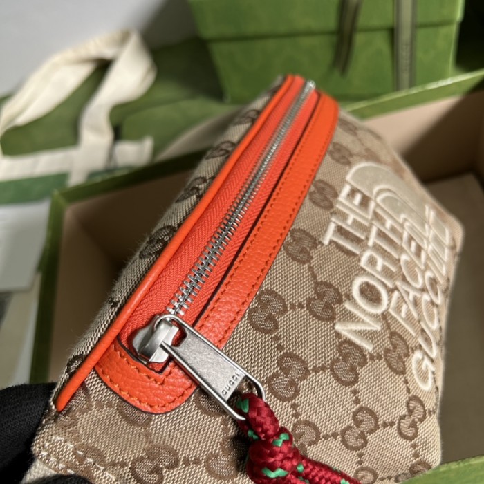 the north face x G*u*i belt bag 650299