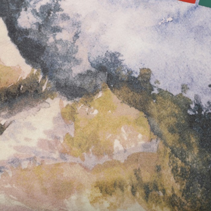 the north face x G*u*i forest print sweatshirt