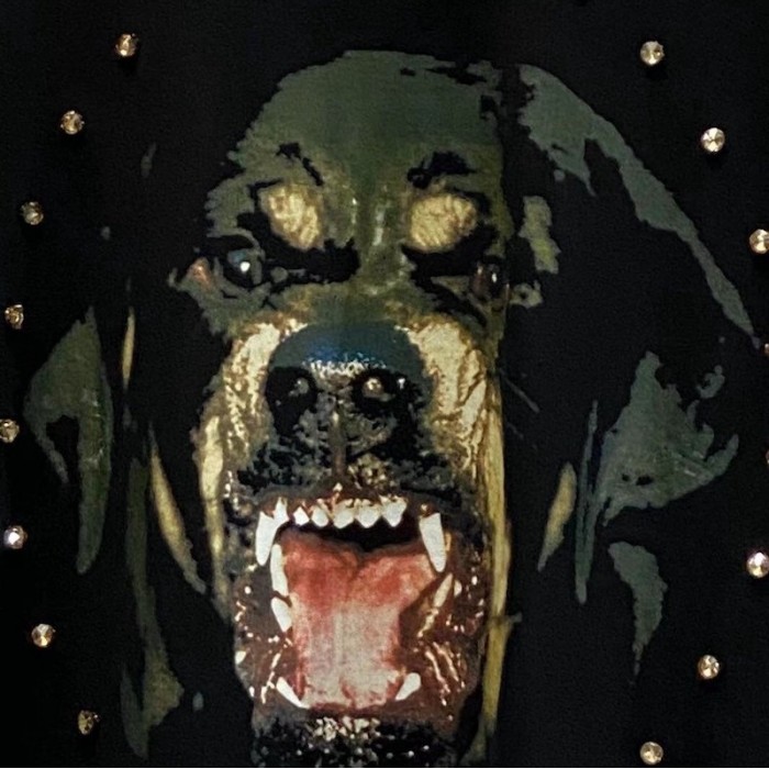 Givenchy Rottweiler Printed T shirt with Studded