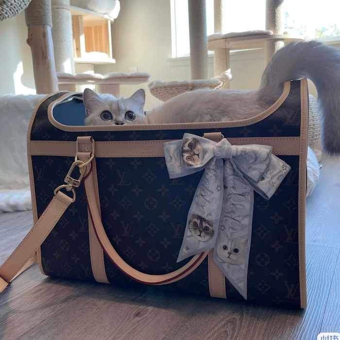 l**is V*t*n monogram canvas dog bag m45662