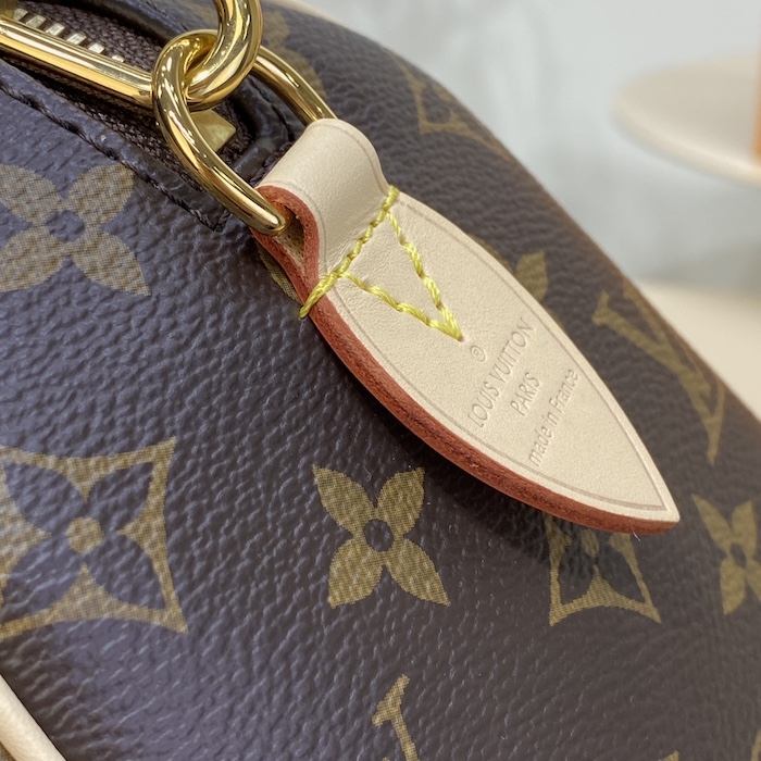 l**is V*t*n monogram canvas speedy bandoulière 20 m46234