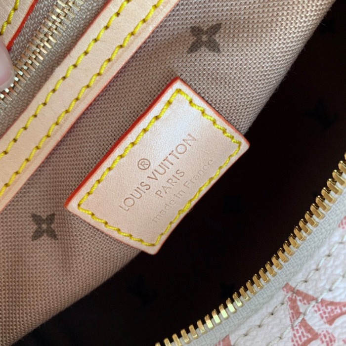 l**is V*t*n monogram coated canvas speedy bandouliere 25 m20919